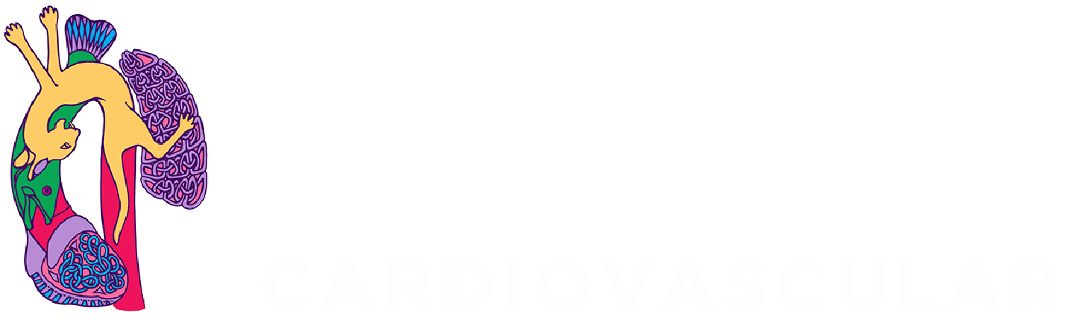 Wellspring Cardiovascular